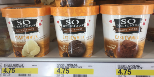 Target Shoppers! Over 50% Off So Delicious Dairy Free Ice Cream After Cash Back