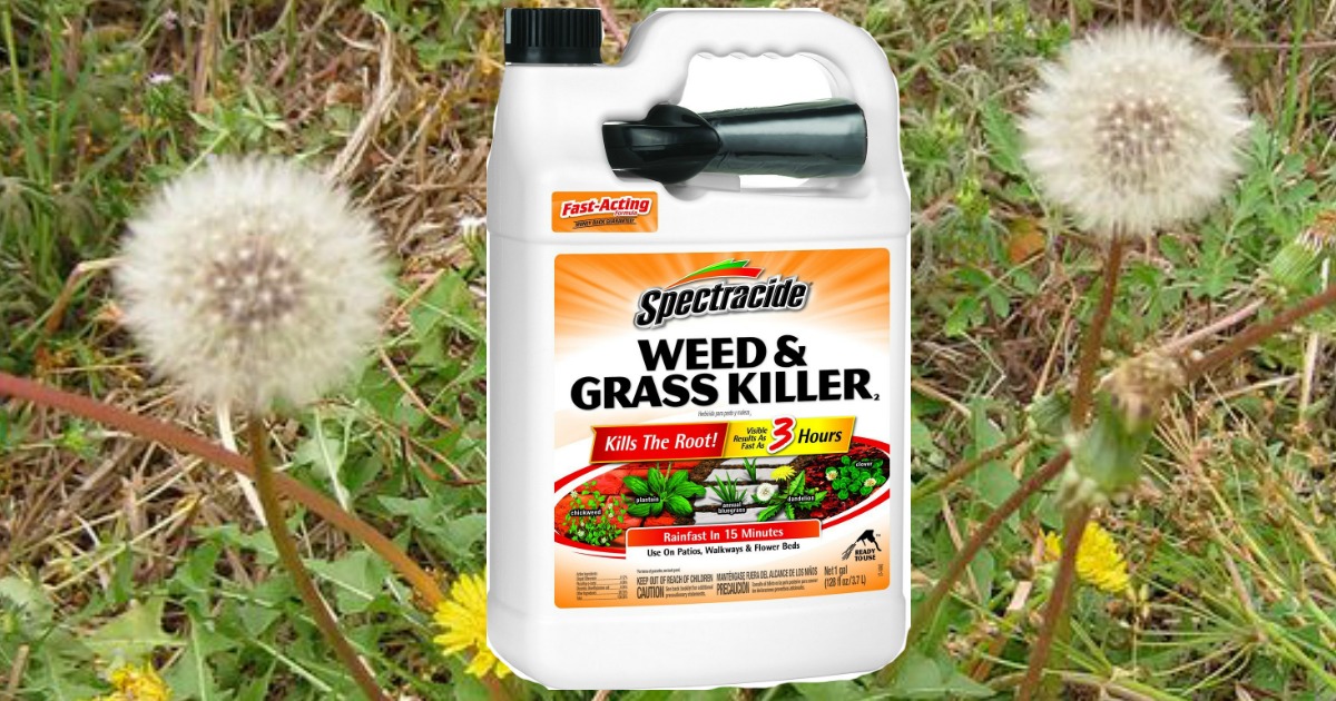Walmart Spectracide Weed & Grass Killer 1 Gallon Bottle w/ Sprayer