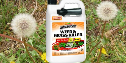 Walmart: Spectracide Weed & Grass Killer 1 Gallon Bottle w/ Sprayer ONLY $4.90