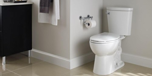 Home Depot: Delta Elongated Toilet Only $149 Shipped (Regularly $219)