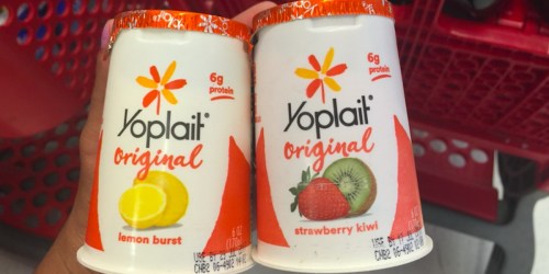 Target Shoppers! Yoplait Yogurt Cups Only 40¢ Each + Liberte Yogurt Cups Just 62¢ Each