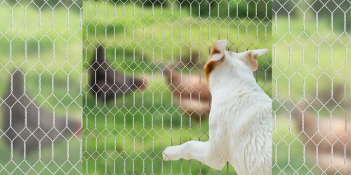 Amazon: Amagabeli Poultry Netting/Garden Fencing Just $18.73 (Measures 50 Feet)