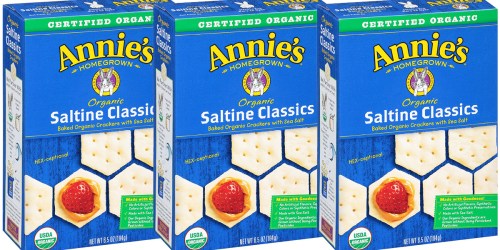 Amazon: 6 Boxes of Annie’s Organic Saltine Crackers Only $11.96 Shipped (Less Than $2 Per Box)