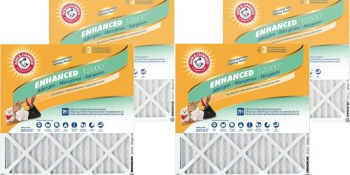 Home Depot: Arm & Hammer Air Filter 4-Packs Only $19.99 Shipped (Just $5 Each)