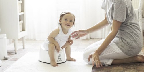 Highly Rated BabyBjorn Potty Chair ONLY $12.80