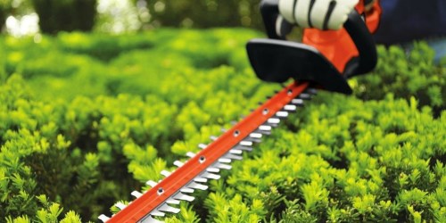Amazon: 20-Inch BLACK+DECKER Hedge Trimmer Only $31.48 (Regularly $59.99)