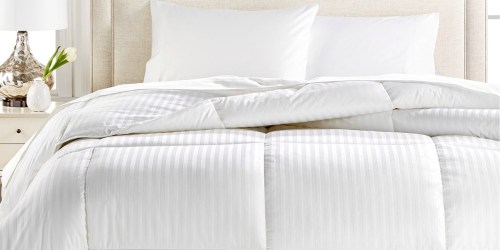 Macy’s: Charter Club Down Alternative Comforters As Low As $23.99 (Regularly $120)