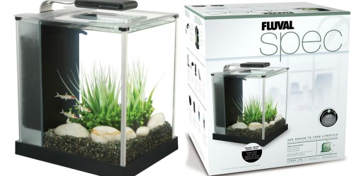 Petco: Fluval 2.6 Gallon Glass Aquarium Kit Only $49.99 Shipped – Great Reviews