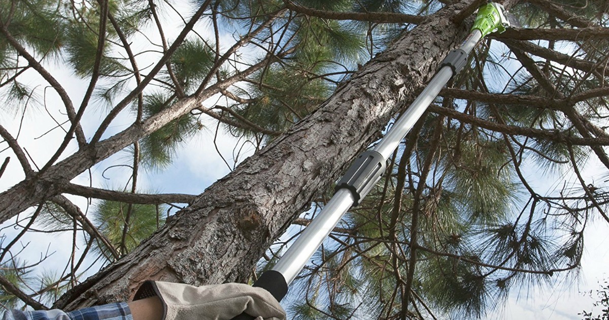 Greenworks Cordless Pole Saw Kit as Low as 94.56 Shipped (Regularly