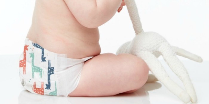 Amazon Family: The Honest Company Diapers 176-Count Box Only $29.79 Shipped + More