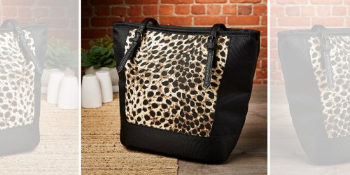 Fit & Fresh: Insulated Lunch Bag ONLY $5 (Regularly $20) + More