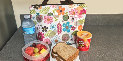 Amazon: Super Cute Lunch Tote/Cooler ONLY $2.69
