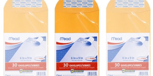 Amazon: Mead Press-It Seal-It 6X9 Envelopes 30-Pack Just $1.76 (Regularly $8.54)