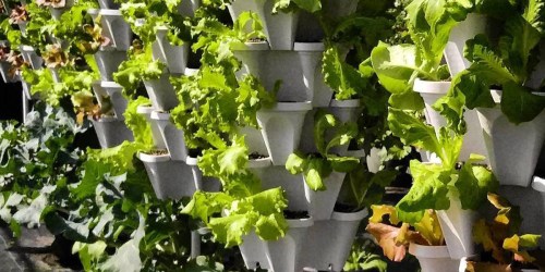 Amazon: Mr. Stacky 5-Tier Planter Only $28.23 Shipped (Grow Up To 20 Plants At Once)