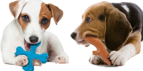 Amazon: 40% Off Nylabone Dog Toys & Treats