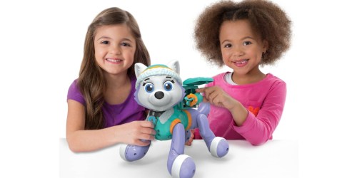 Target: Paw Patrol Zoomer Everest Interactive Pup Only $21.74 (Regularly $43.49)
