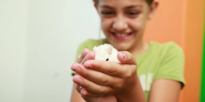 Calling all Teachers! Possibly Add Pets to Your Classroom for FREE