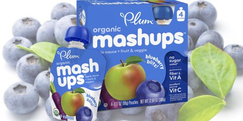 Amazon Prime: Plum Kids Organic Mashups 24 Pouches Only $12.47 Shipped (52¢ Per Pouch)