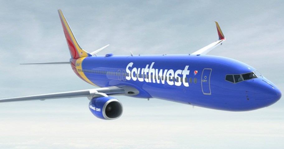 Southwest Plane in the Sky