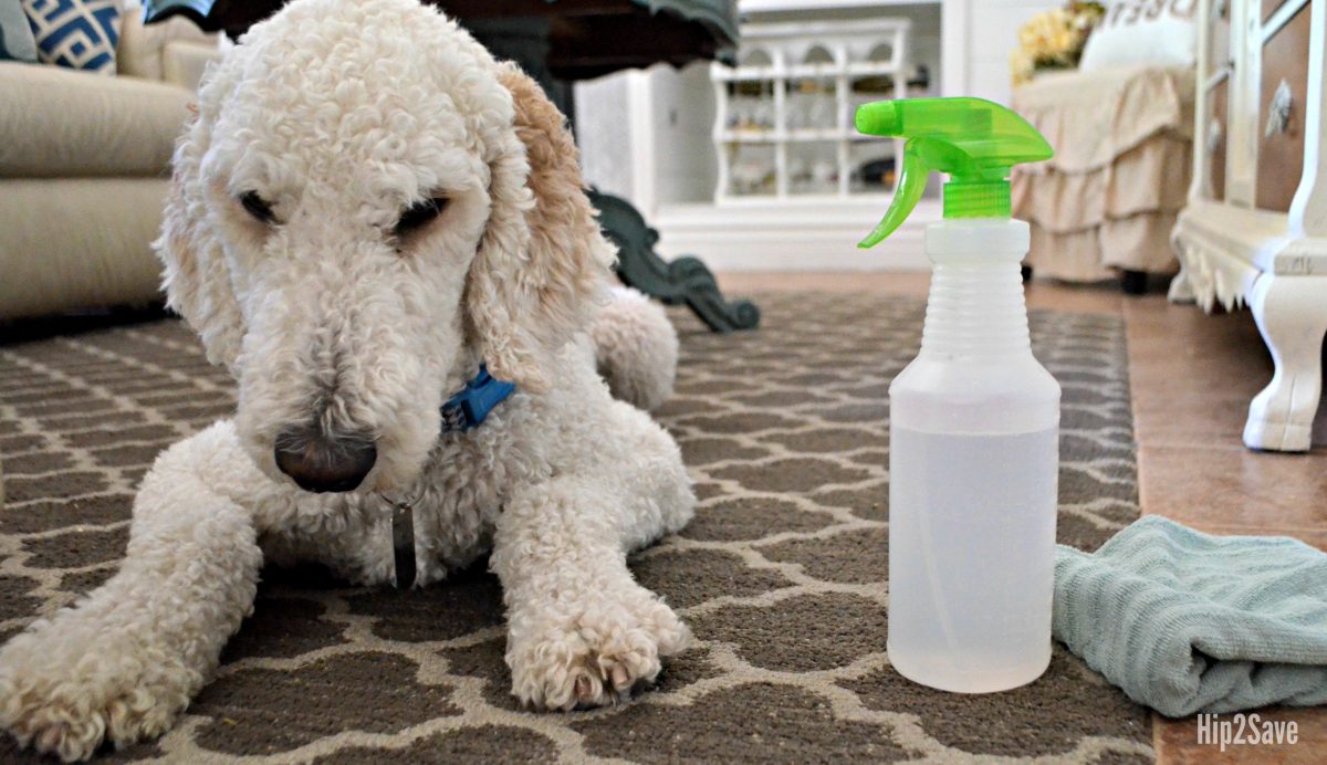 10 Genius Ways to Use Vinegar Around the House Hip2Save