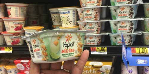 Eight New Yoplait Coupons =  FREE Yogurt at Walmart (After Cash Back)