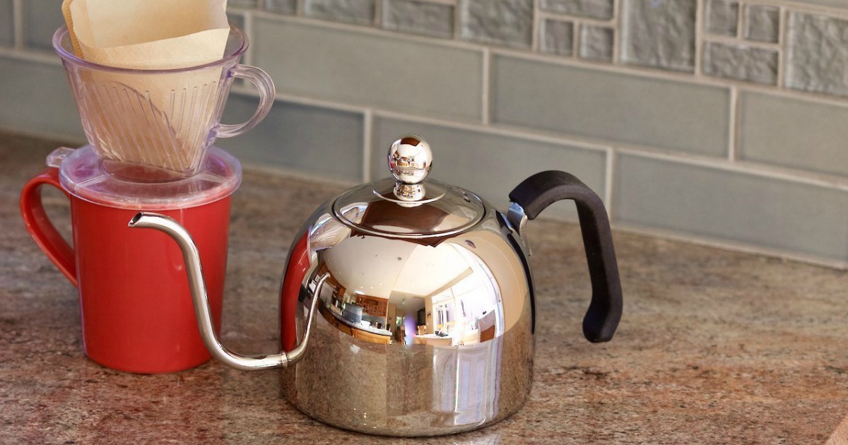 Amazon Zell Premium Stainless Steel Kettle Just 13.99 (Regularly 19.99)