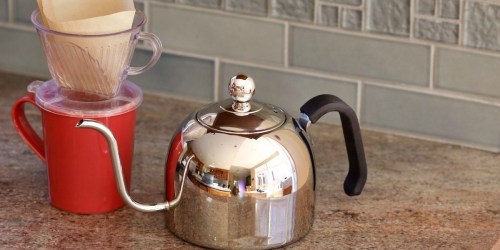 Amazon: Zell Premium Stainless Steel Kettle Just $13.99 (Regularly $19.99)