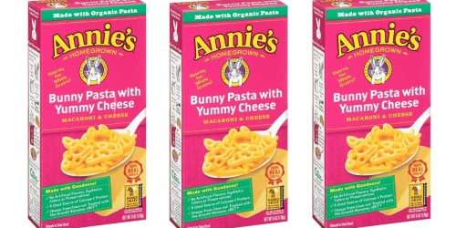 Amazon: Annie’s Bunny Pasta 12-Pack Just $8.29 Shipped (Just 69¢ Per Box)