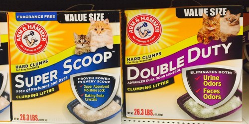 Target: Value Size Arm & Hammer Cat Litter Boxes Only $4.29 Each After Gift Card (Regularly $11)