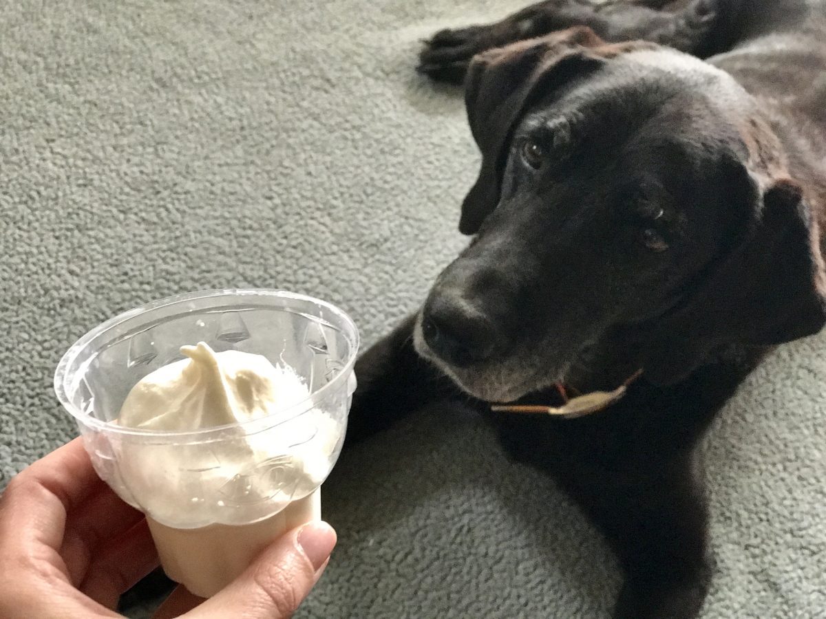 staring at whipped cream in cup