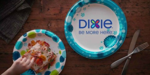 Amazon: Dixie Ultra 176 Count Paper Plates Only $14.75 Shipped