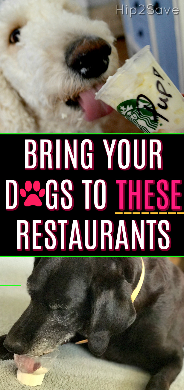 14 Restaurants That Offer FREE or Cheap Dog Treats