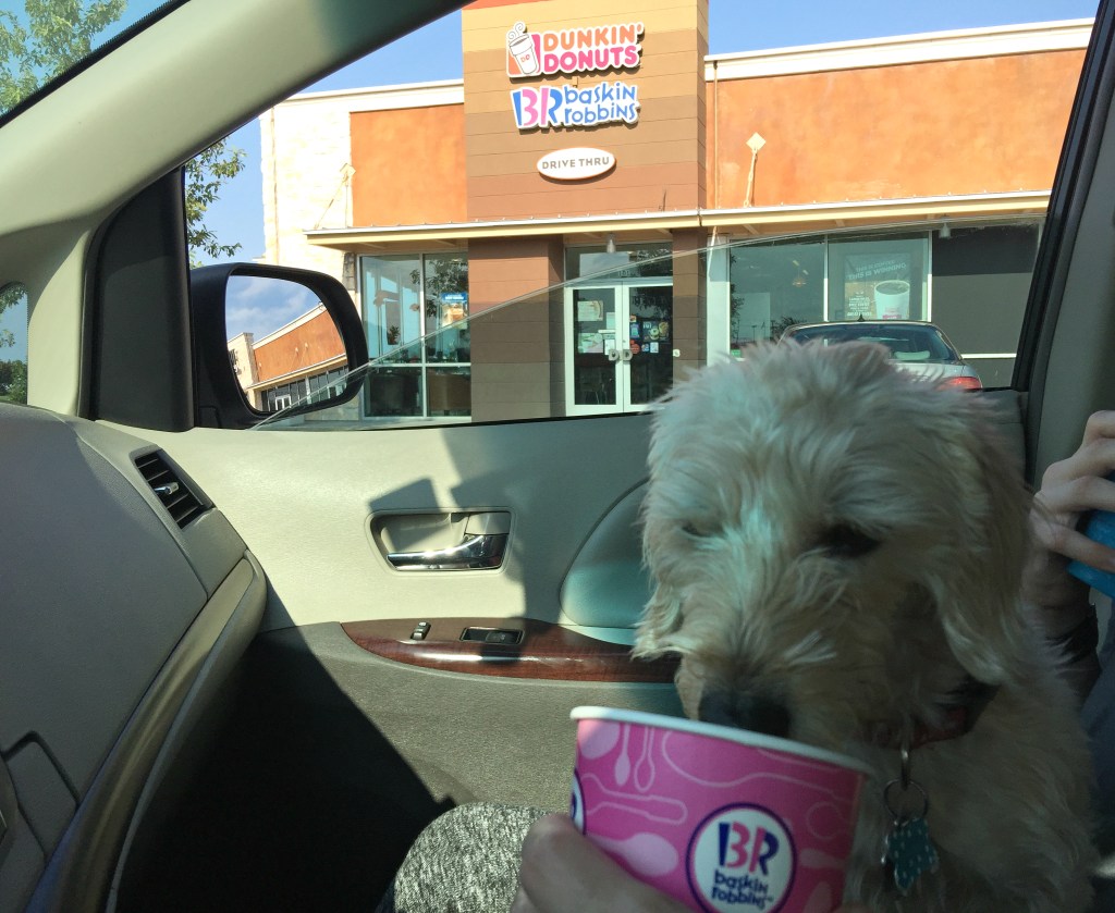 14 Restaurants That Offer FREE or Cheap Dog Treats