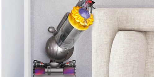 Dyson Ball Multi Floor Bagless Upright Vacuum Only $199.99 Shipped (Regularly $400)