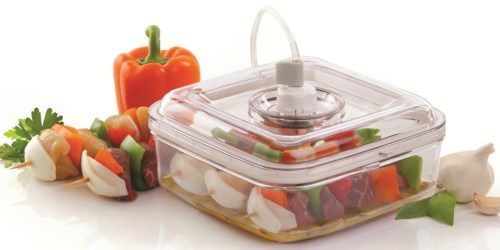 FoodSaver Quick Marinator Just $8.99 Shipped (Regularly $22)