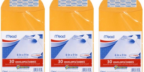Mead 6X9 Envelopes 30-Pack Only $2.29