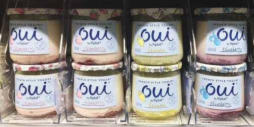FREE Goodness Knows Bar & Oui Yogurt at Farm Fresh & Other Stores (Load eCoupon Today)