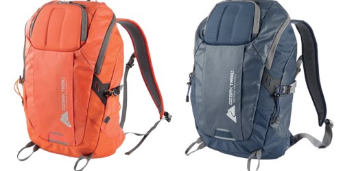 Walmart.com: Ozark Trail Silverthorne Backpacks Only $13 (Regularly $29.95)