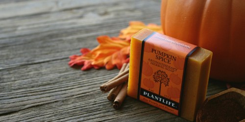 Plantlife: 35% Off Bath & Shower Items = Pumpkin Spice Bar Soap or Bath Salts Under $4 Each