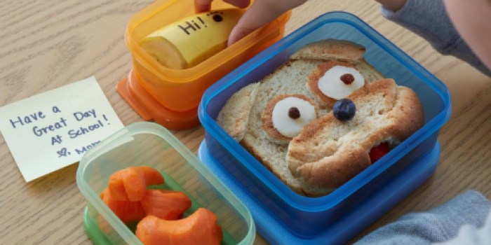 Rubbermaid LunchBlox Kids Tall Lunch Kit Just $6.15 (Great Reviews)