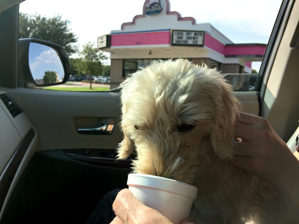 chick-fil-a pup cup