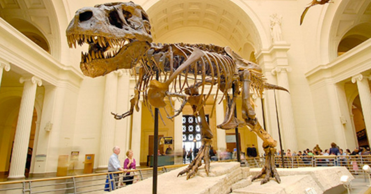 FREE Museum Visit for You and a Friend on September 23rd (Reserve