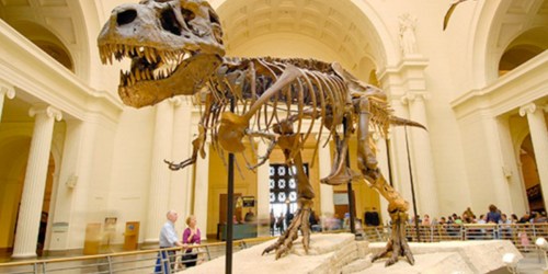FREE Museum Visit for You and a Friend on September 23rd (Reserve Tickets Now)