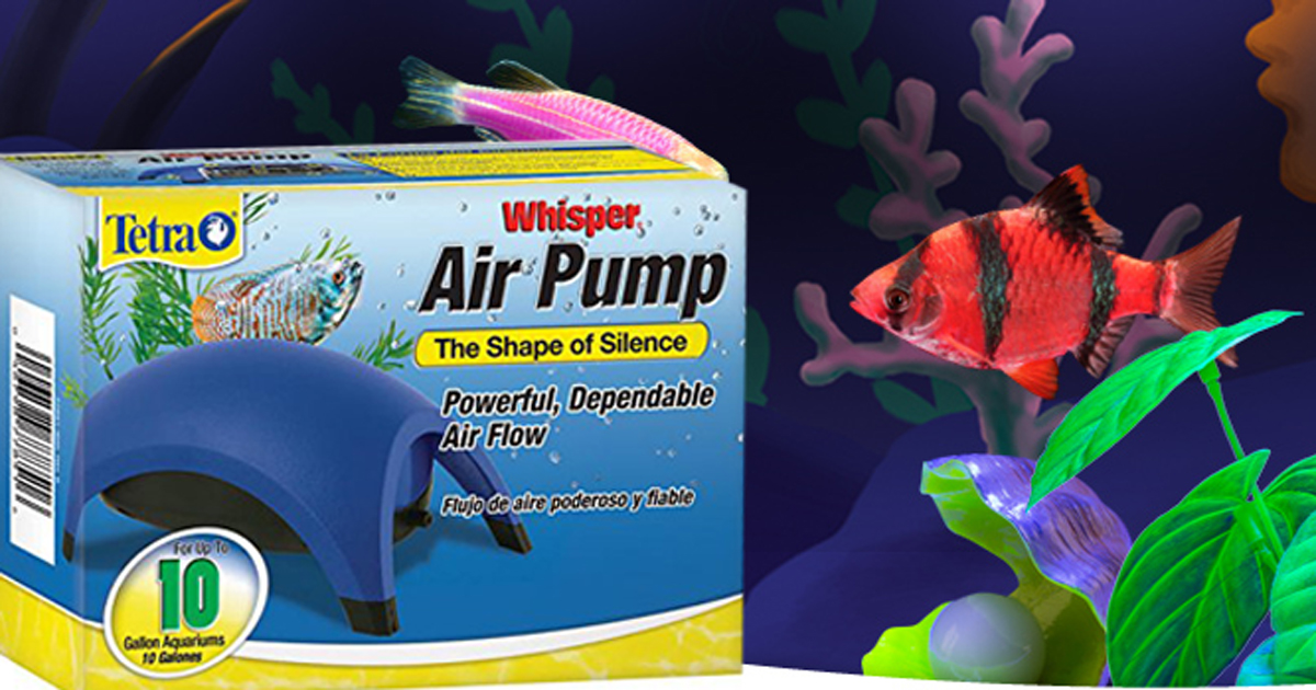 tetra whisper air pump