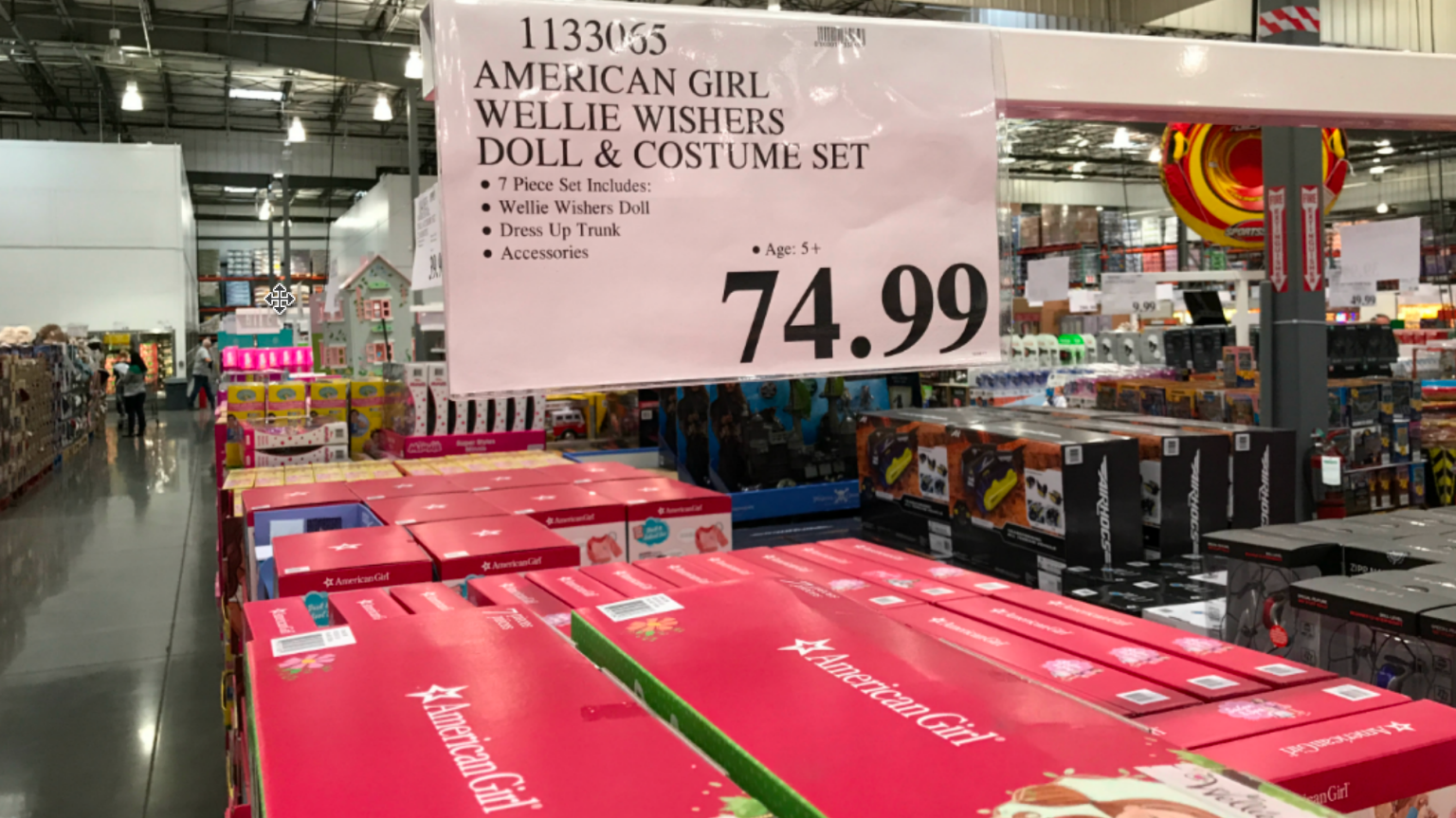 Costco American Girl Wellie Wishers Doll, Dress Up Trunk AND Costume
