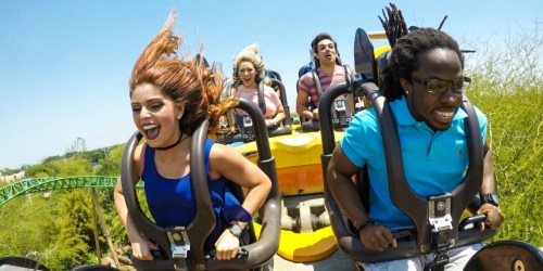 Busch Gardens Tampa Bay AND Adventure Island Tickets Just $55 (Regularly $150) + More