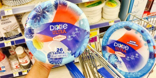 Rare $0.75/1 Dixie Plates Coupon = Only $1.42 at Walgreens (Starting 10/22)