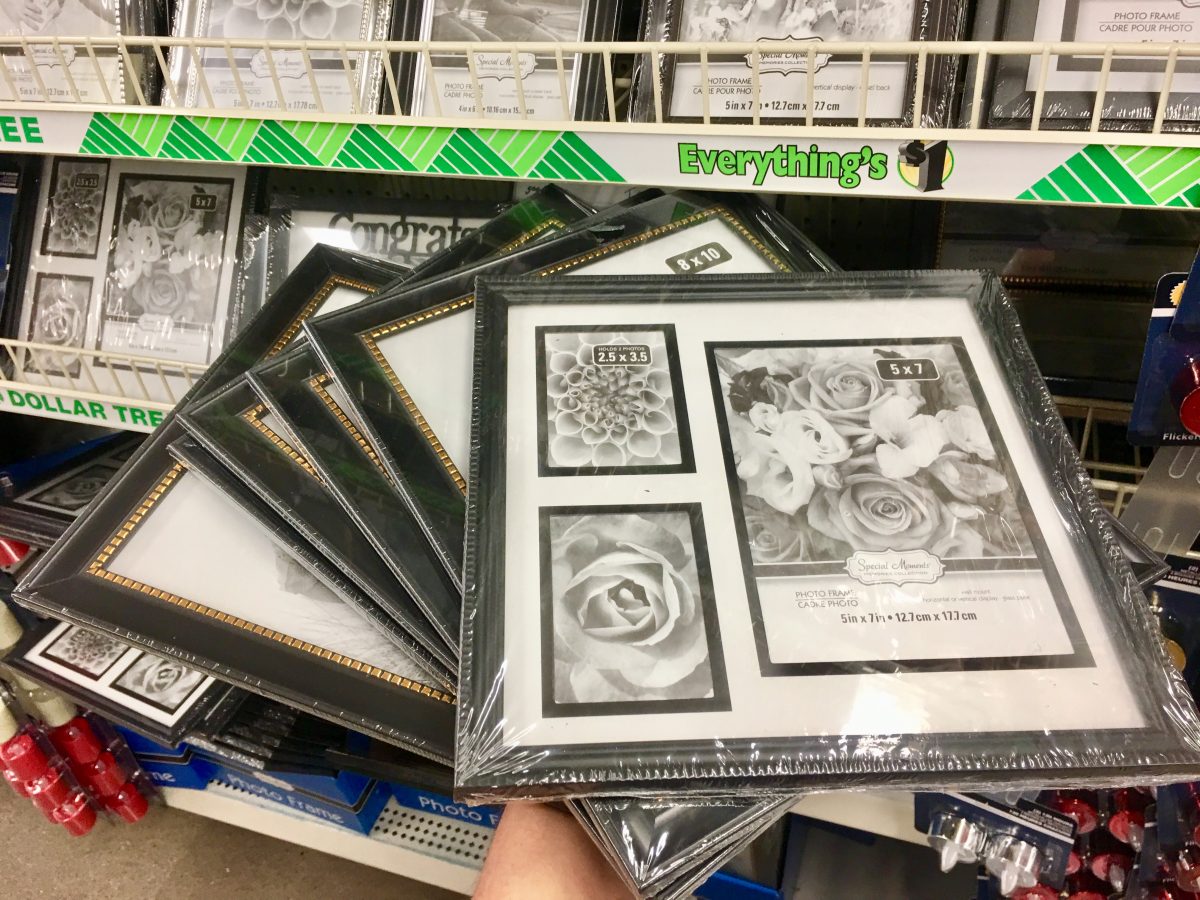 picture frames at the dollar tree
