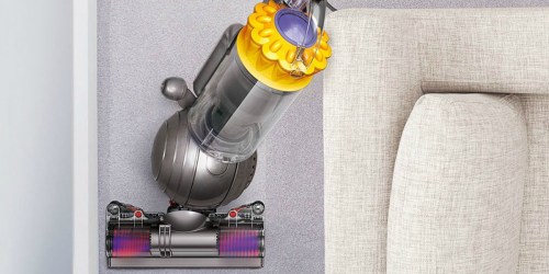Dyson Ball MultiFloor Bagless Upright Vacuum Only $199.99 Shipped (Regularly $400)