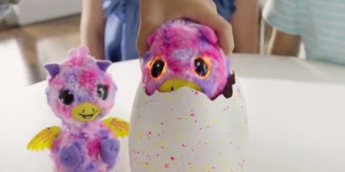 Hatchimals Surprise Twins Peacat Hatching Egg Only $53.50 Shipped